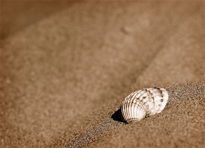 caorle strand